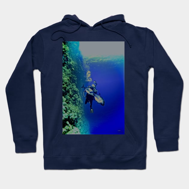 BLUE LIGHT IN THE TREVALLEY VALLEY Hoodie by dumbodancer